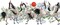 Diamond Dotz Brolga Dance Bird Diamond Painting Kits for Adults - Diamond Art Kits a Relaxing Creative Craft Kit with Dotz Gems 30.3"x12.6"